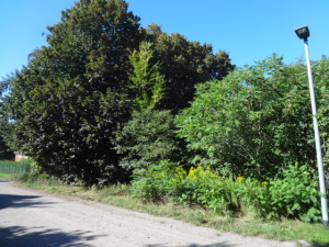1 Parkweg 6, 14656 Brieselang, Havelland (Kreis)